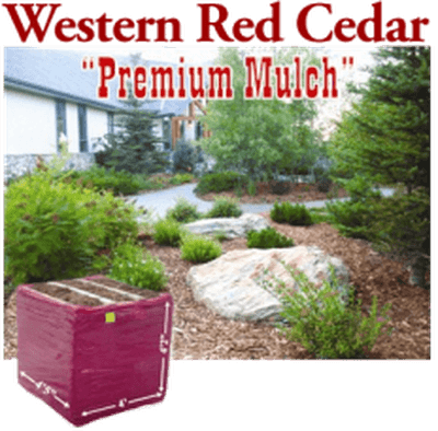 Cedar Bark Bulk Mulch
