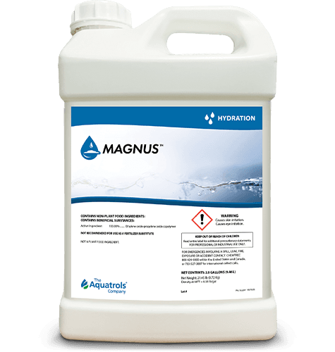 Magnus