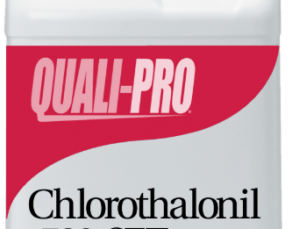 Chlorothalonil 720 SFT