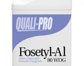Fosetyl-Al 80 WDG