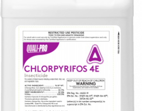 Chlorpyrifos 4E Insecticide