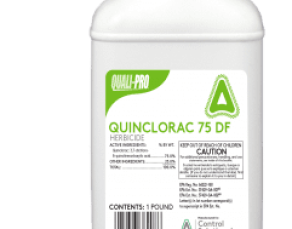 Quinclorac 75 DF Post-Emergent Herbicide