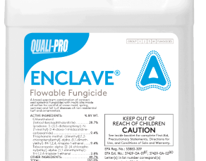Enclave Flowable Fungicide