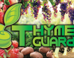 Thyme Guard