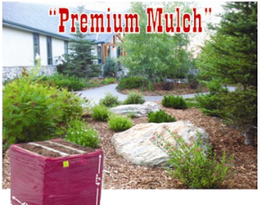 Cedar Bark Bulk Mulch
