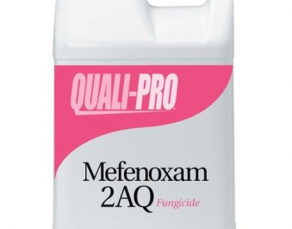 Mefenoxam 2 AQ