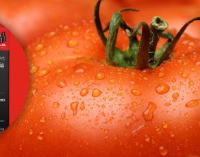 PRO-MIX ORGANIC VEGETABLE & HERB MIX